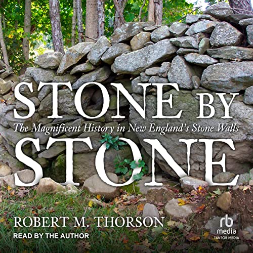 Stone by Stone Audiobook by Robert M. Thorson
